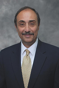 Dr. Nasser Karam