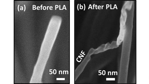 SEM photo of carbon nano fibers